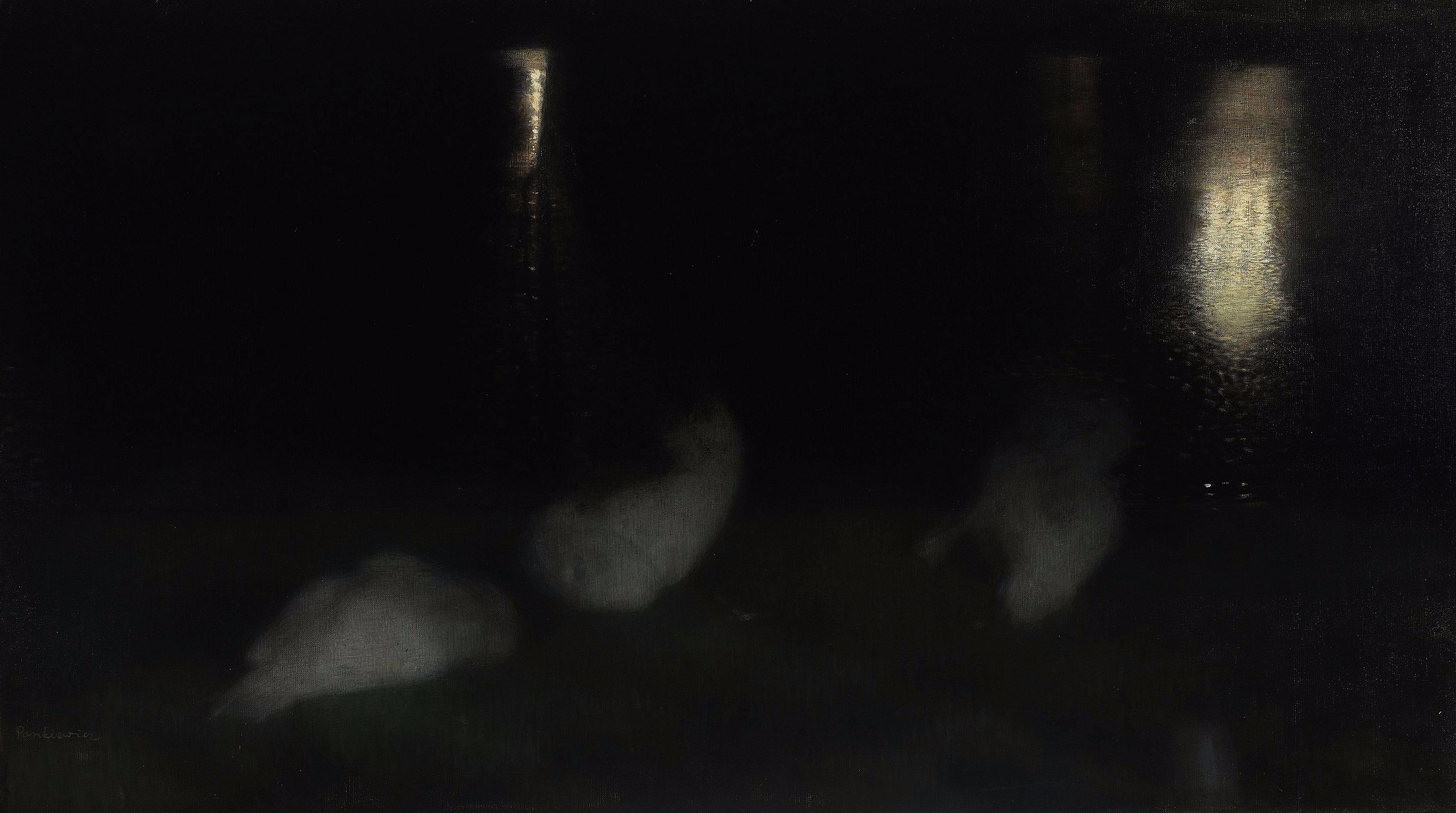 Józef Pankiewicz - Nocturne. Swans in the Saxon Garden in Warsaw by night - Google Art Project