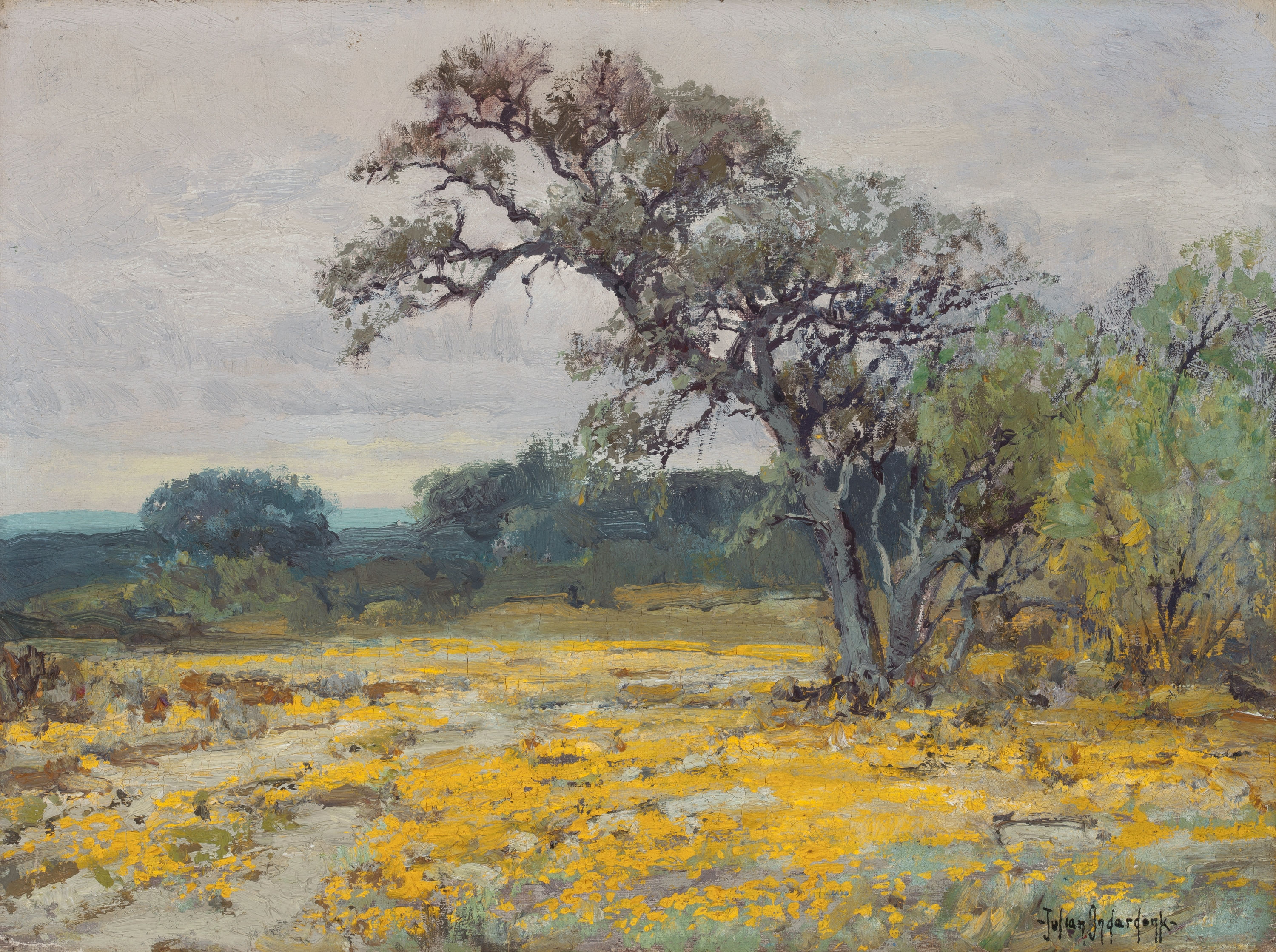 Julian Onderdonk - Coreopsis, Near San Antonio, Texas, 1919