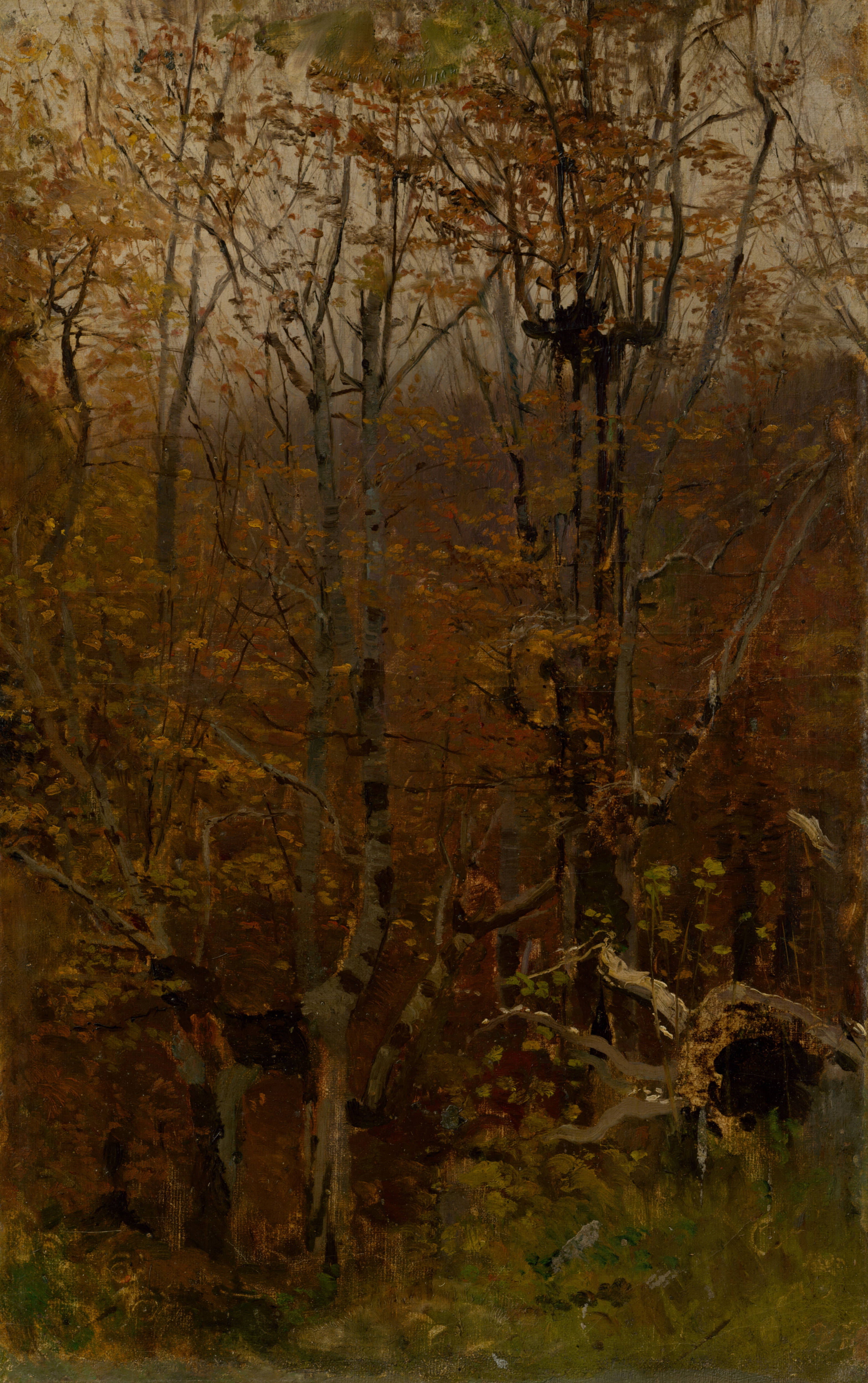 Ladislav Mednyánszky - Autumn Hardwood Forest - O 2446 - Slovak National Gallery