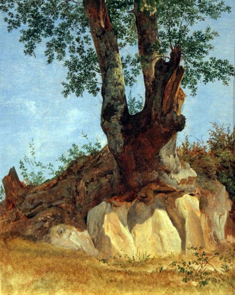 1822 Reinhold Ein Baum in der Campagna anagoria