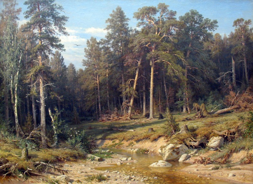 1872 Schischkin Pinienwald anagoria