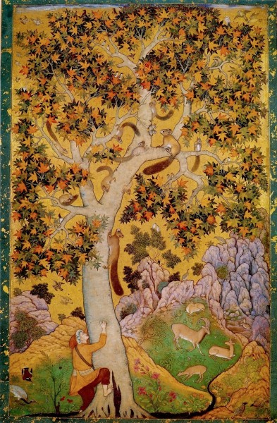 6Abu'l Hasan Squirrels in a Plane Tree, ca. 1610, India Office Library and Records, London