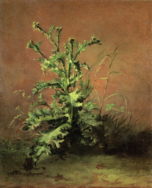 Édouard Manet - Chardons