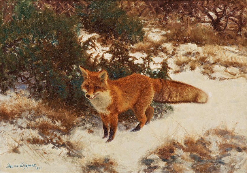 Bruno Liljefors - Räv i vinterskog 1911