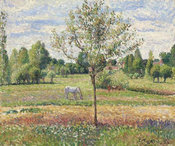 Camille Pissarro - Le pré avec cheval gris, Eragny (1893)