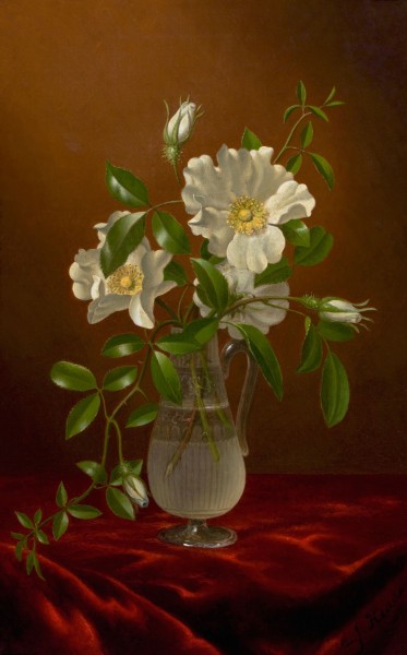 Cherokee Roses in a Glass Vase-Martin Johnson Heade