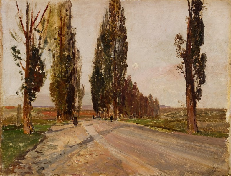 Emil Jakob Schindler - Boulevard of Poplars near Plankenberg - Google Art Project