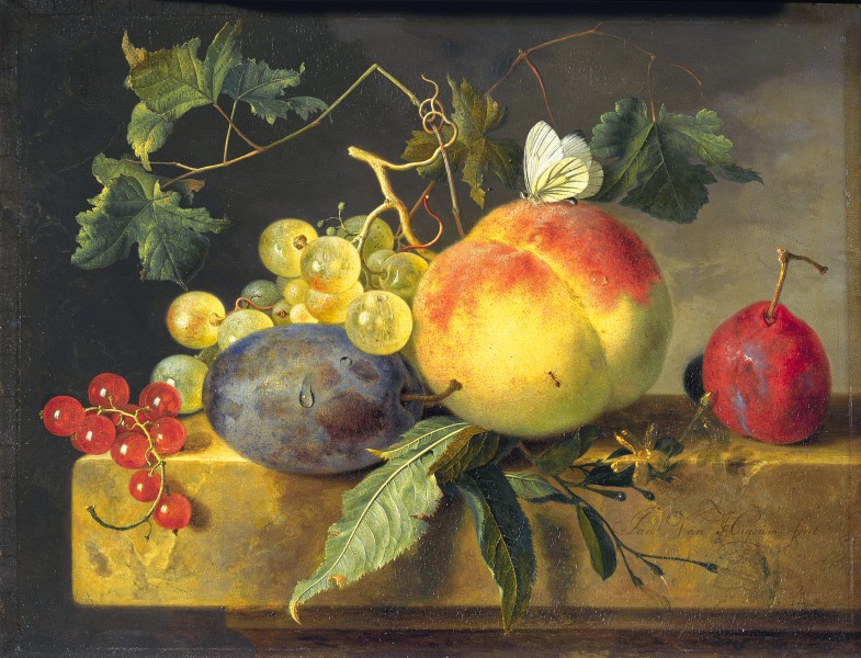Fruit Still Life by Jan van Huijsum Mauritshuis 70
