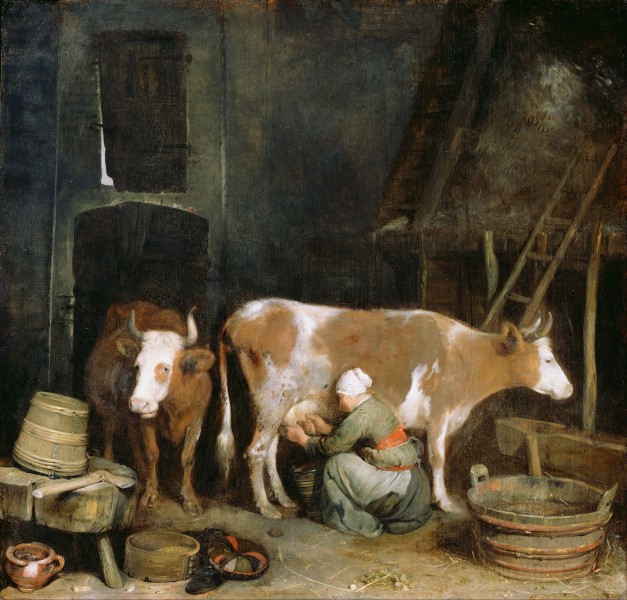 Gerard ter Borch (Dutch - A Maid Milking a Cow in a Barn - Google Art Project