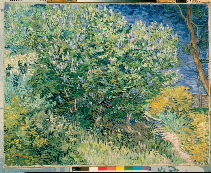 Gogh, Vincent van - Lilac Bush