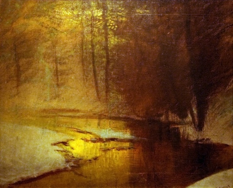 Golden Lights in the Winter Forest