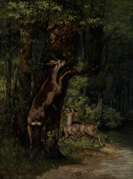 Gustave Courbet - Deer in the Forest - Google Art Project