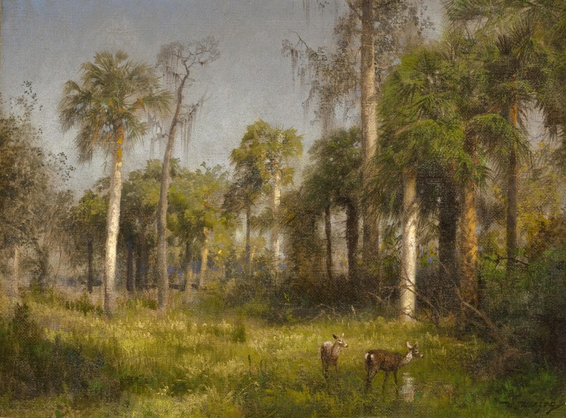 Hermann Herzog - Florida Landscape