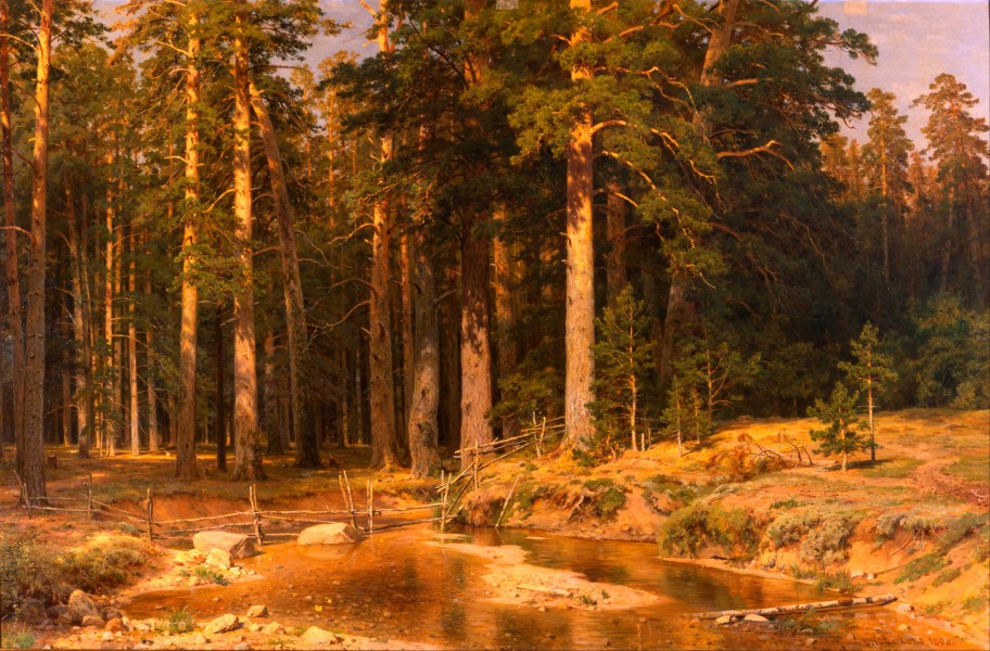 Ivan Shishkin - Mast-Tree grove - Google Art Project