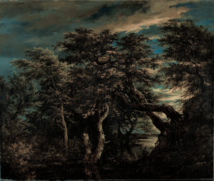 Jacob Isaacksz van Ruisdael - A Marsh in a Forest at Dusk - Google Art Project
