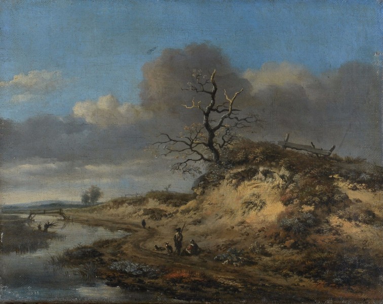 Jan Wynants - Dune landscape