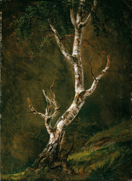 Johan Christian Dahl - Study of a Birch Tree - Google Art Project