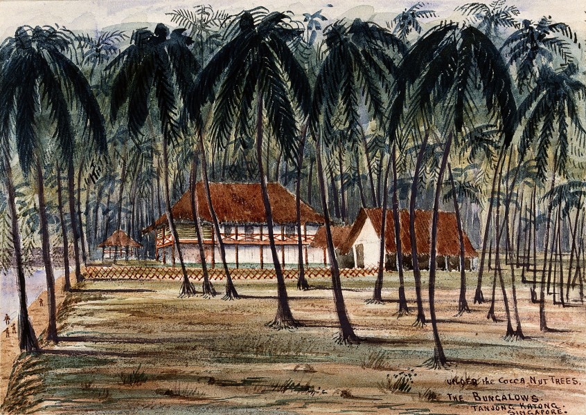 John Edmund Taylor, Under the Cocoa Nut Trees. The Bungalows. Tanjong Katong, Singapore. (1879, Wellcome V0037492)