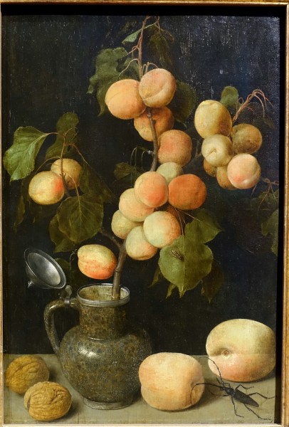 The Branch of Apricots, by Georg Flegel, Frankfurt am Main, 1630-1637, oil on red beech - Hessisches Landesmuseum Darmstadt - Darmstadt, Germany - DSC01270