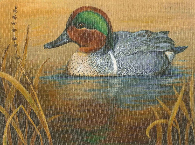 The finalist from Louisiana for the 2011 Junior Duck Stamp Art Contest. (5600519100)