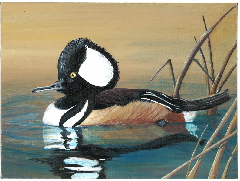 The finalist from Mississippi for the 2011 Junior Duck Stamp Art Contest. (5598451970)