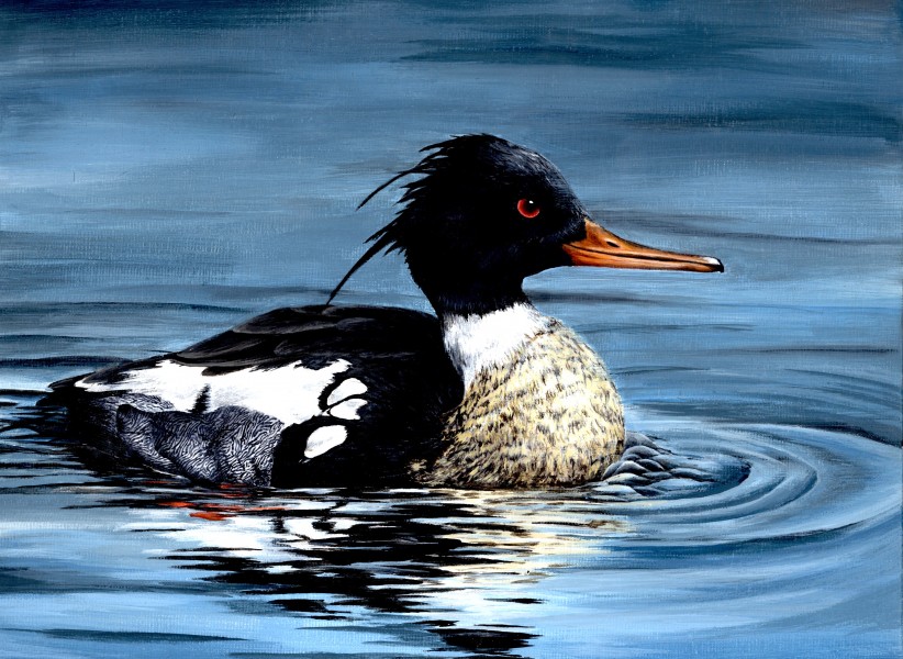 The finalist from Nebraska for the 2011 Junior Duck Stamp Art Contest. (5598519266)