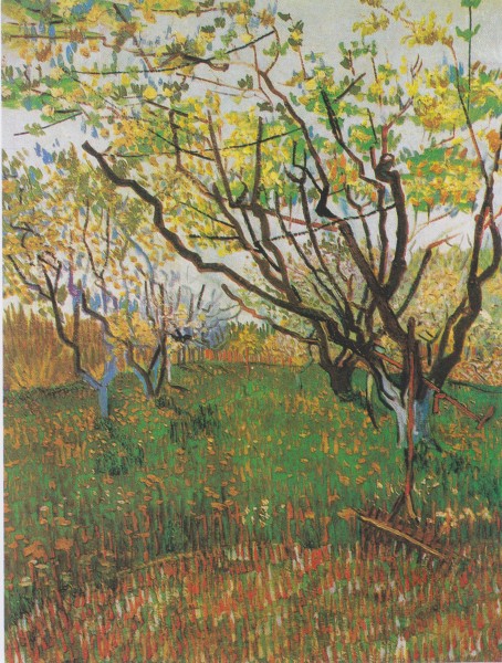 Van Gogh - Blühender Obstgarten