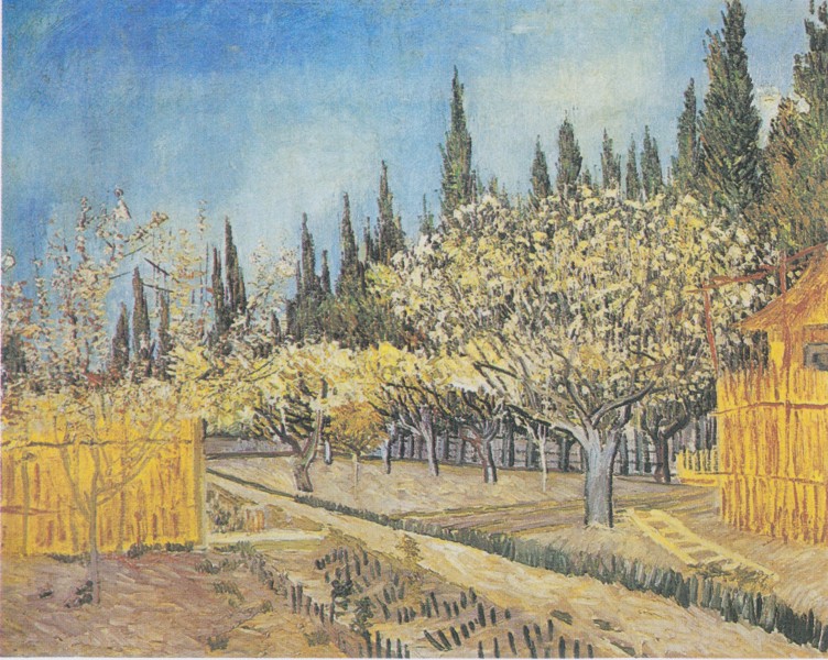 Van Gogh - Blühender Obstgarten, von Zypressen umgeben