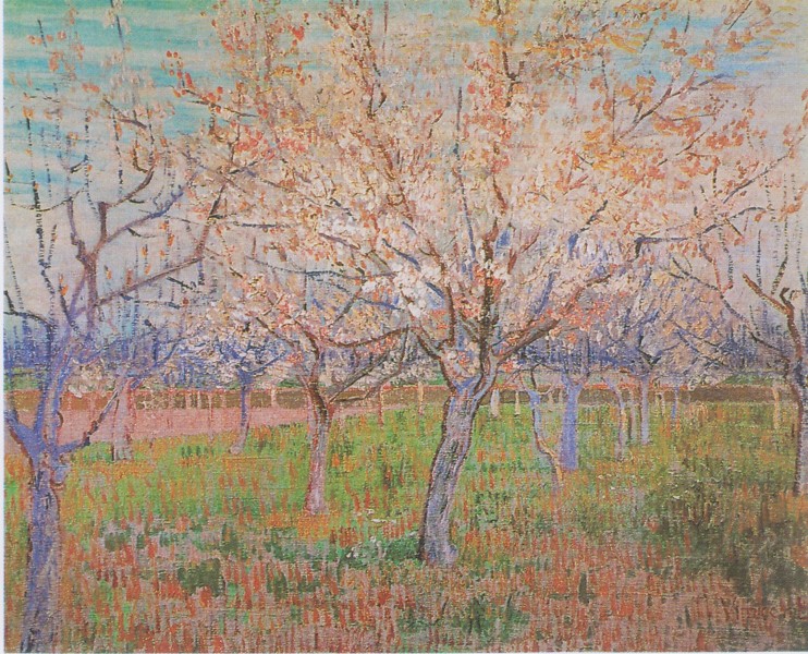 Van Gogh - Obstgarten mit blühenden Aprikosenbäumen