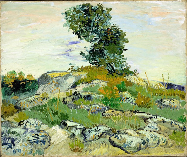 Vincent van Gogh - Collines rocheuses de chênes