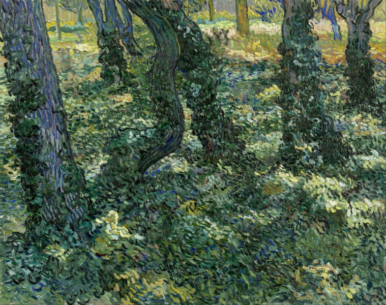 Vincent van Gogh - Undergrowth - Google Art Project
