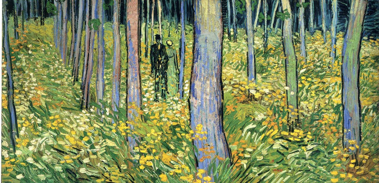 Vincent van Gogh - Undergrowth with Two Figures (F773)