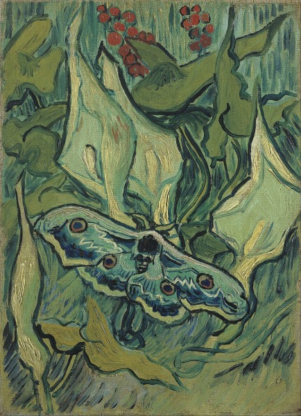 Vincent van Gogh - Emperor moth - Google Art Project