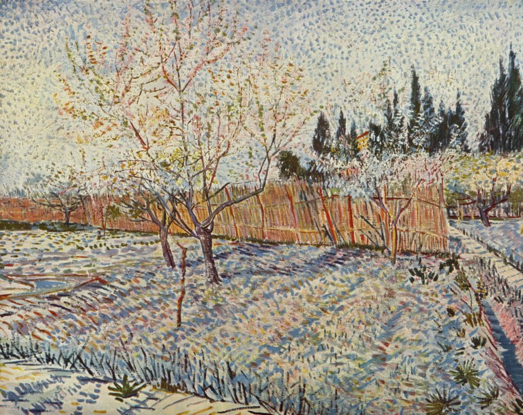 Vincent Willem van Gogh 077