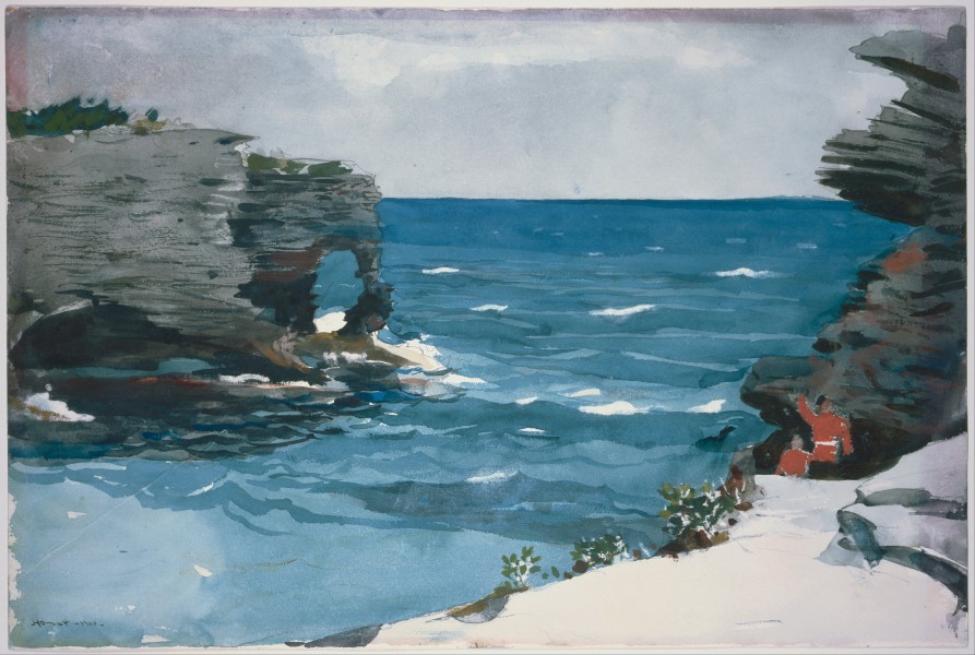 Winslow Homer - Rocky Shore, Bermuda - Google Art Project