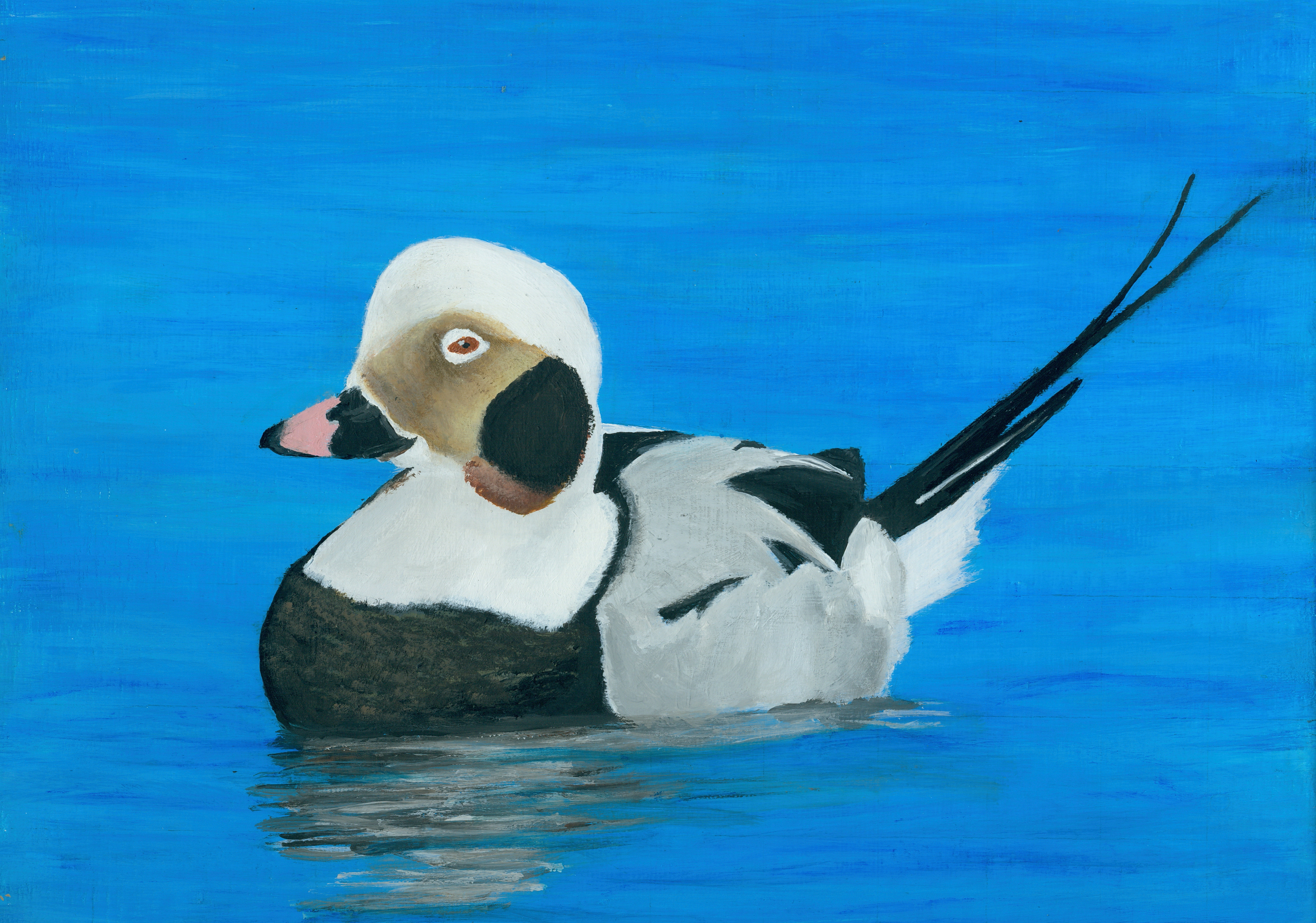 The finalist from Oklahoma for the 2011 Junior Duck Stamp Art Contest. (5599936537)