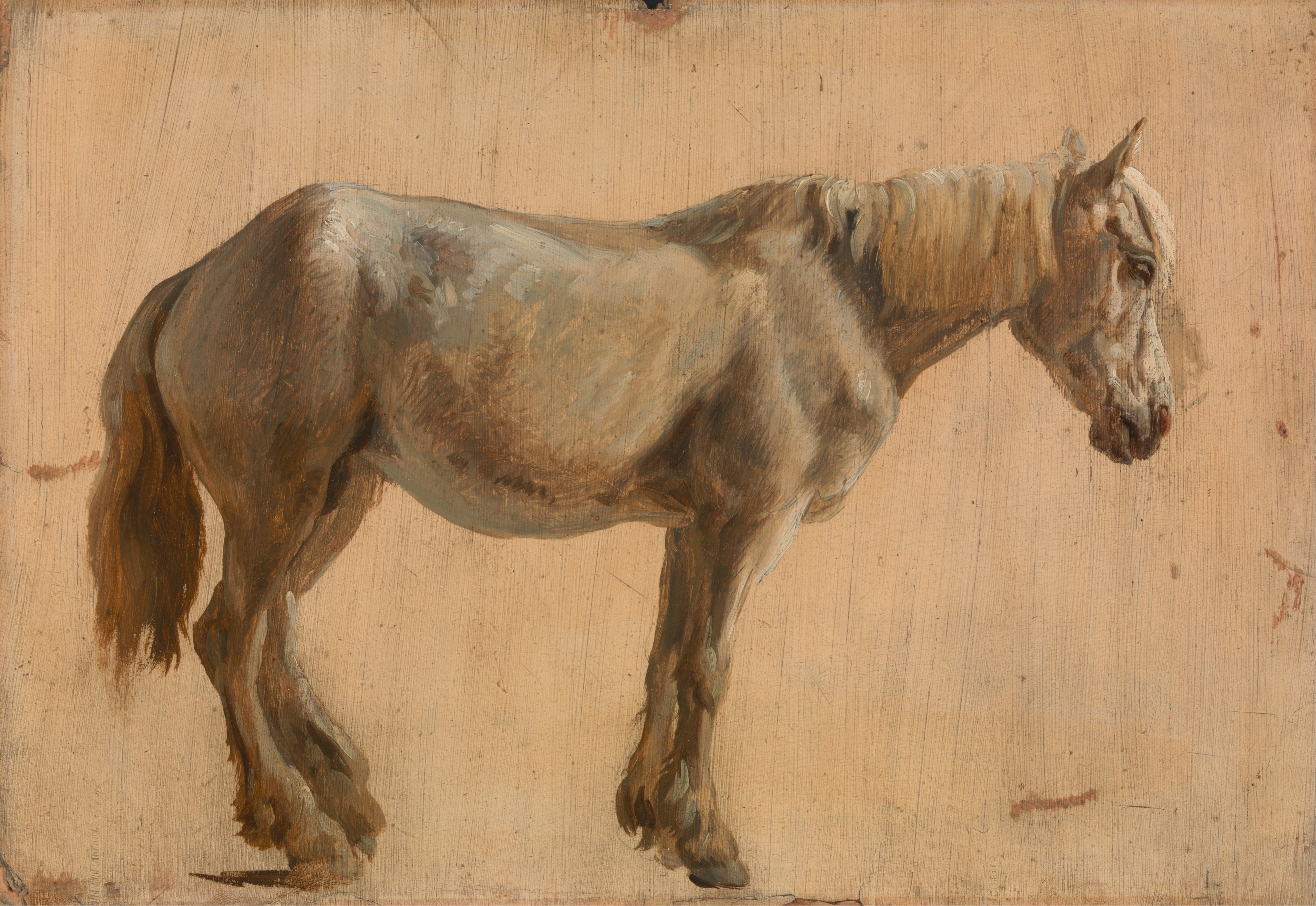 Jacques-Laurent Agasse - Study of a Grey Horse - Google Art Project