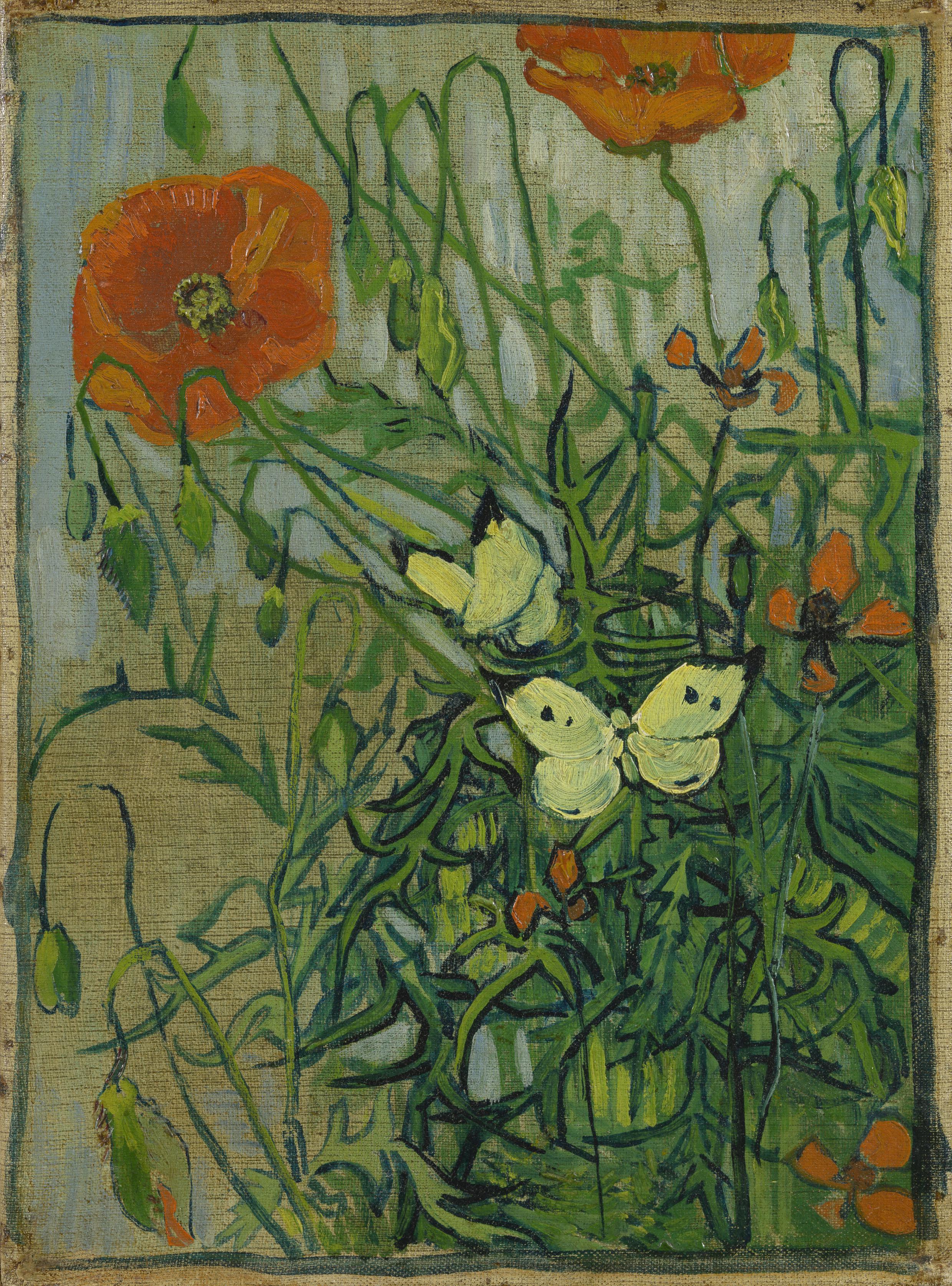 Vlinders en klaprozen - s0188V1962 - Van Gogh Museum