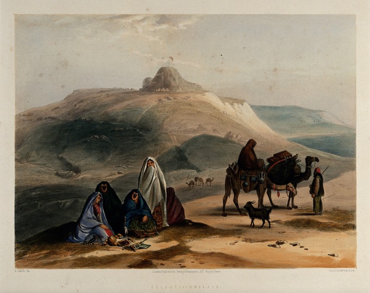 Landscape with veiled women and camels, Kalat-i-Ghilzai, Afg Wellcome V0050530