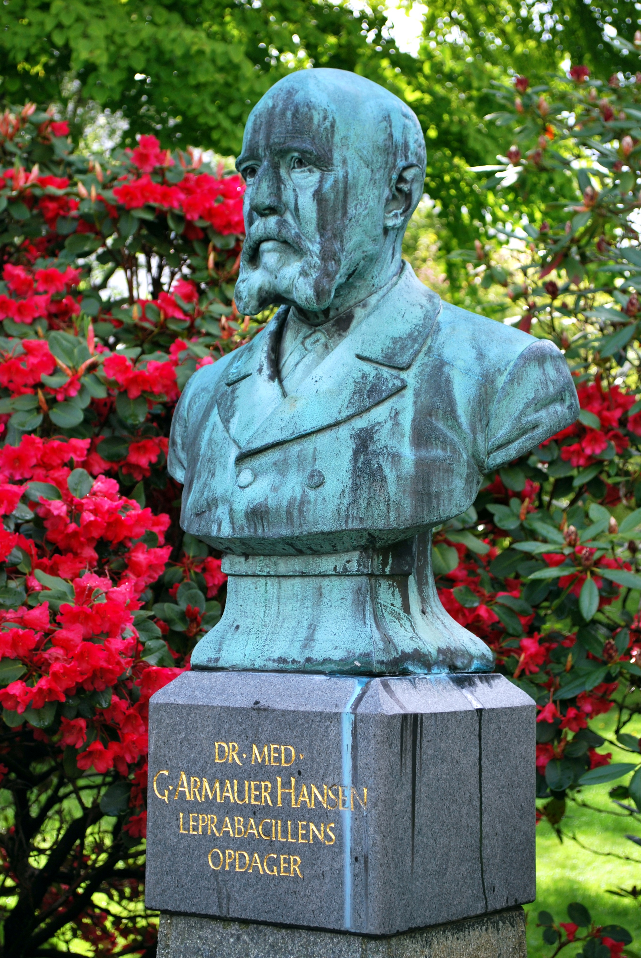 Armauer Hansen - Jo Visdal - Botanisk hage - Bergen 3