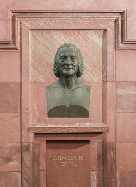 Johann Christian Senckenberg-bust frontal