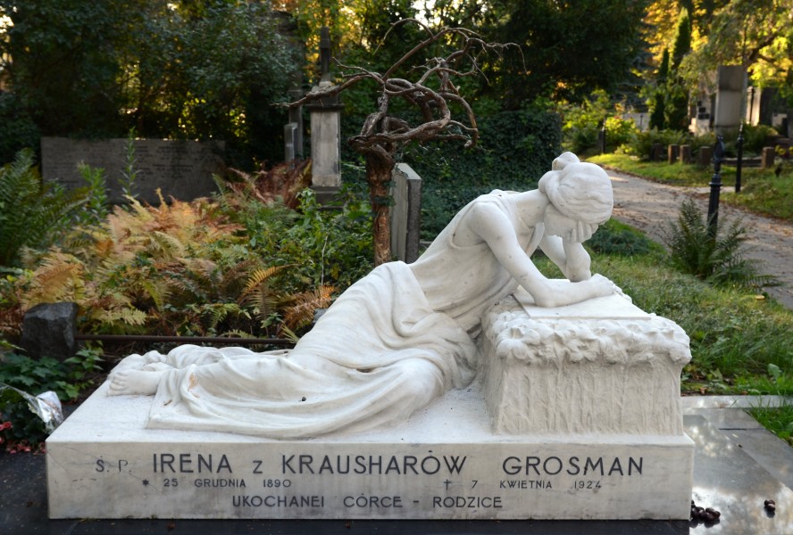 Warszawa cmentarz ewangelicki na Woli grób Ireny Grosman 2011