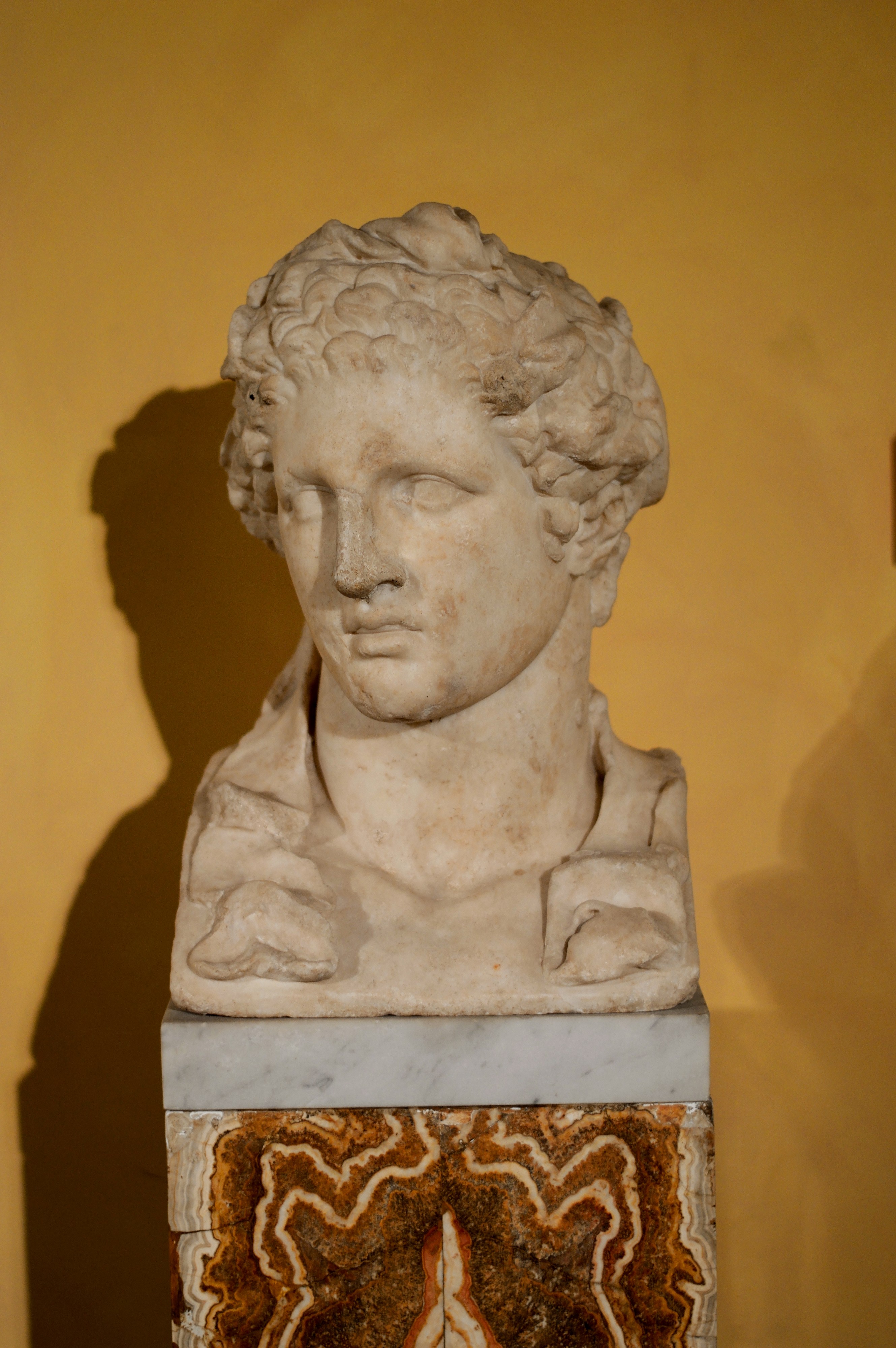 Bust of Alexander the Great in Musei Capitolini