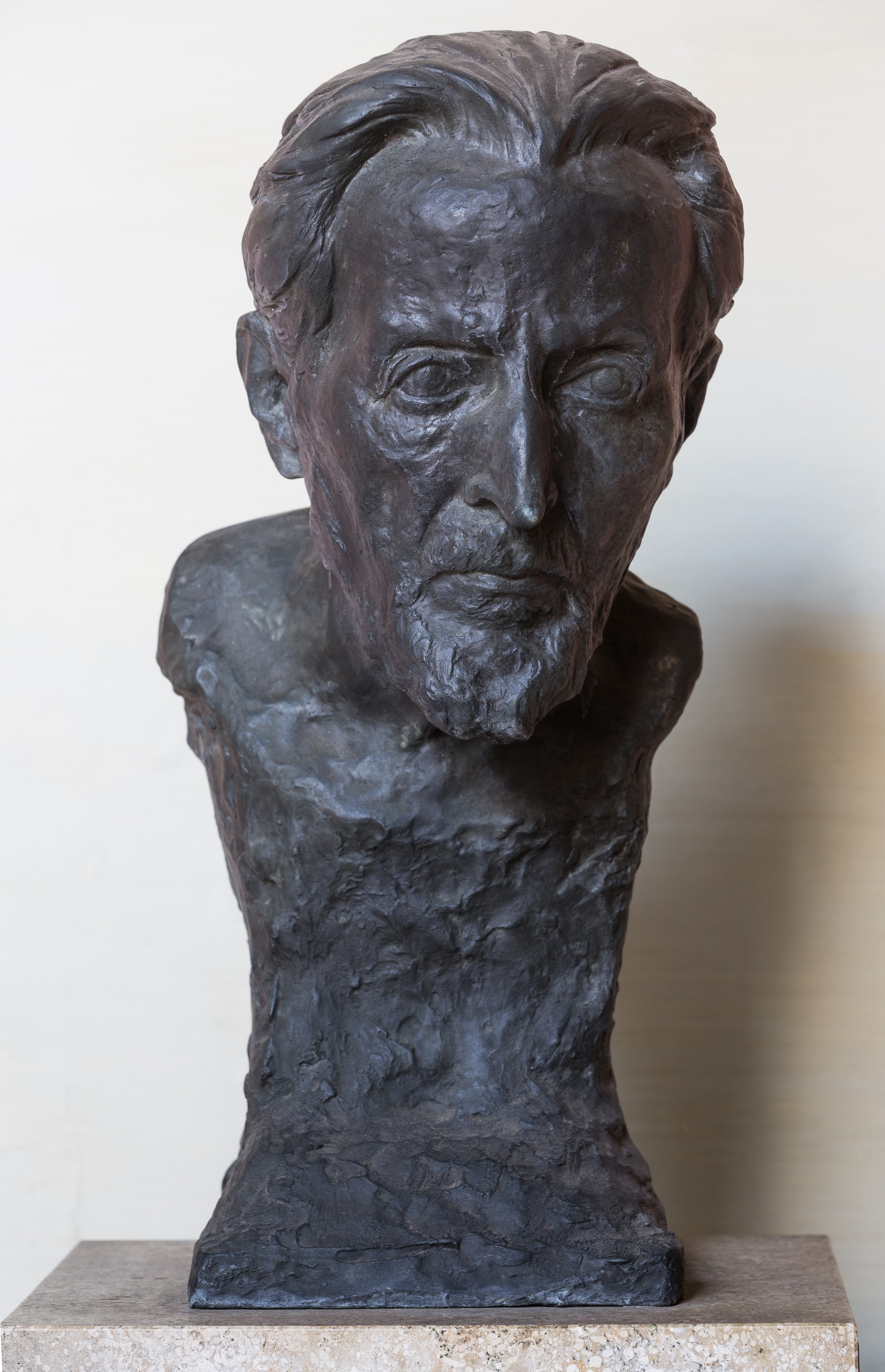 Hans Horst Meyer (1853-1939), Nr. 78, bust (bronze) in the Arkadenhof of the University of Vienna-1357