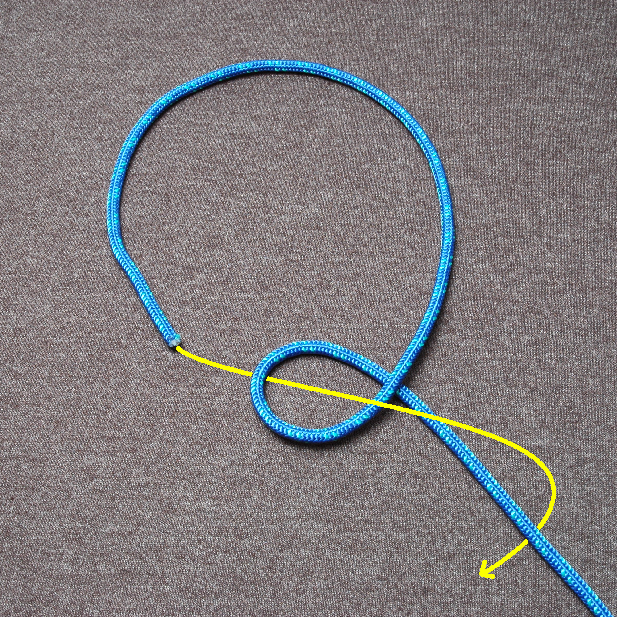 Fiador knot ABOK 1110 Tying Step 1