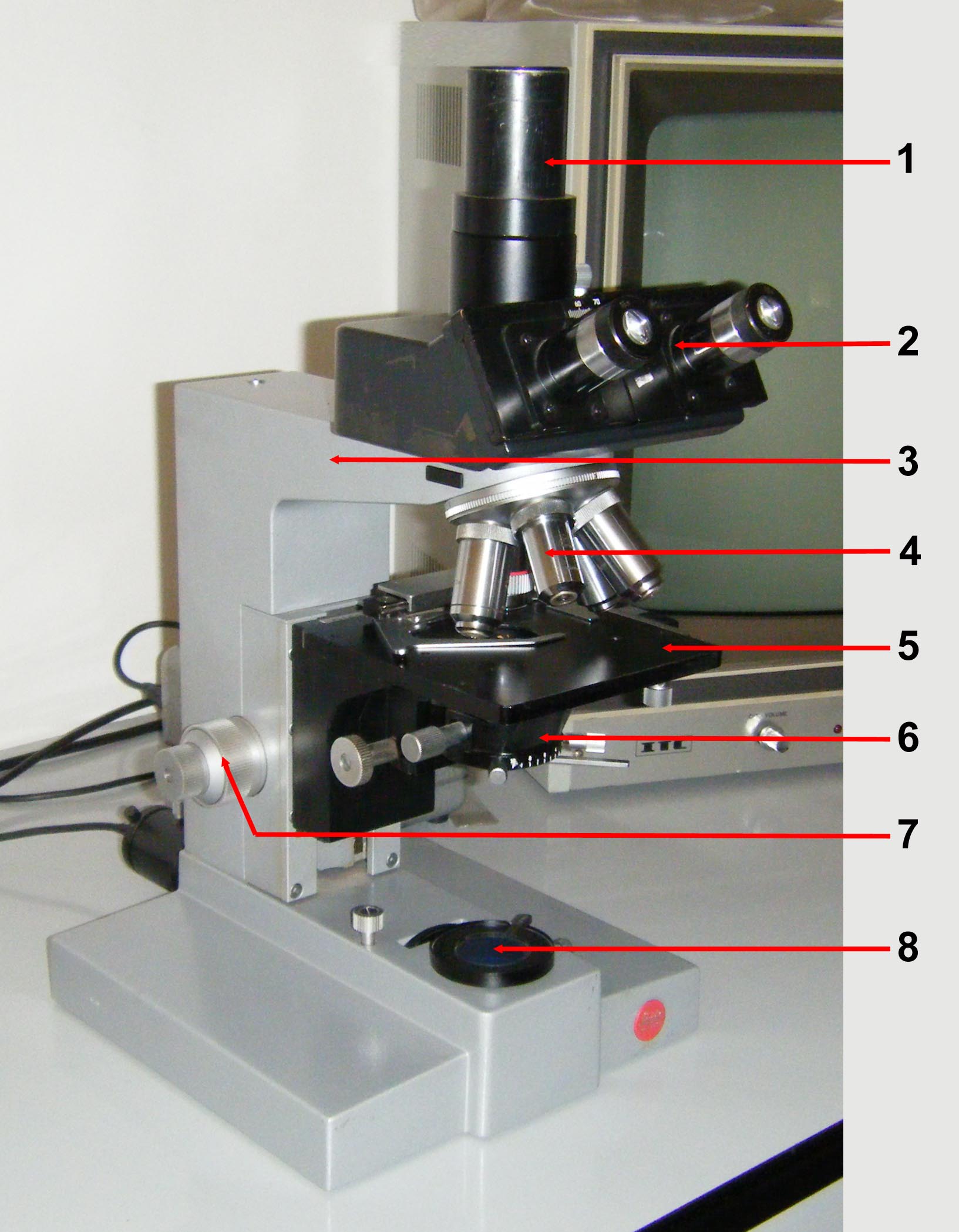 Microscopio Leitz