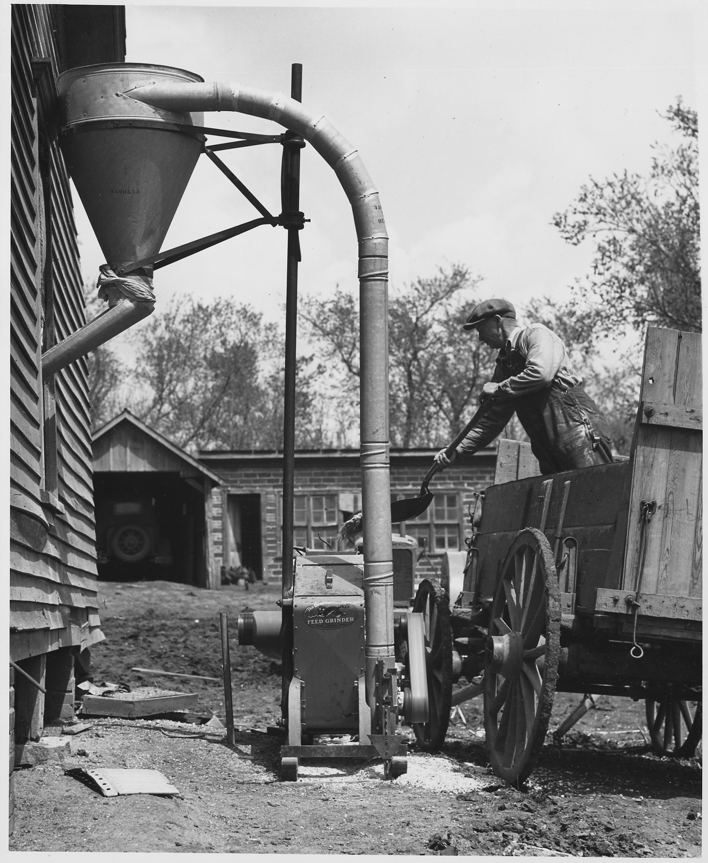 Shelby County, Iowa.... Grinding feed at home. The grinder, a new and very efficient machine, is run . . . - NARA - 522447