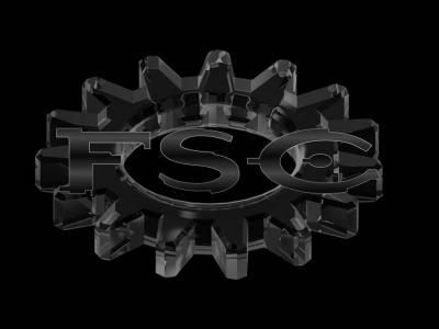 FSC Idealism Image