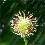 Free photos / images / pictures.