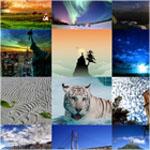 Free miscellaneous photos.